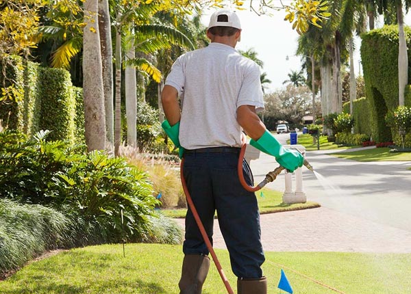 About Miami FL Pest Control Pros